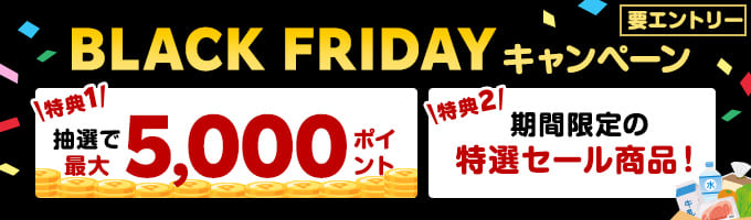 BLACK FRIDAYセール！