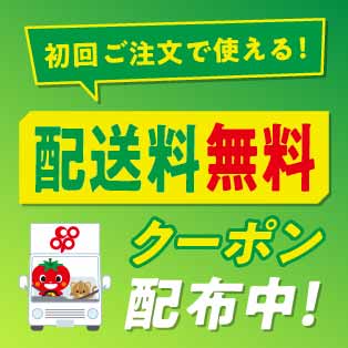 初回利用限定！配送料無料クーポン