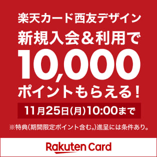 楽天カード新規入会＆利用で10.000ポイント