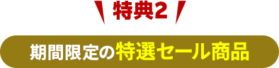 特典2_期間限定の特選セール商品