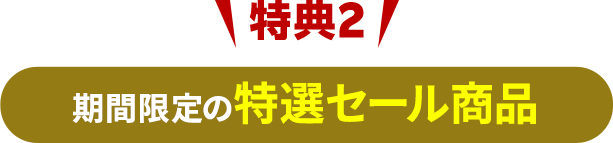 特典2_期間限定の特選セール商品